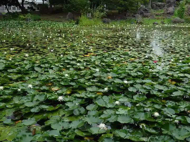 北海道護國神社の自然