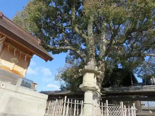 柳澤神社の自然