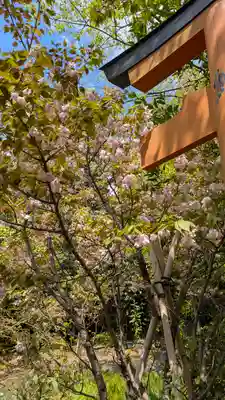 平野神社(京都府)