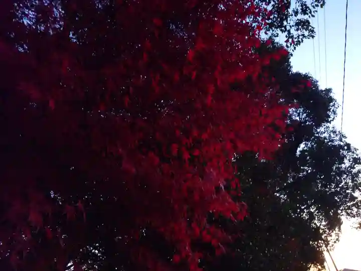 速谷神社(広島県)