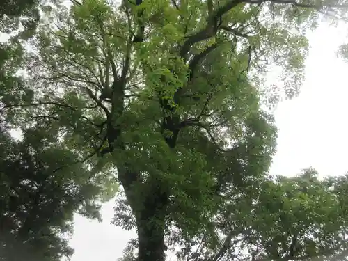 栢山神社(神奈川県)