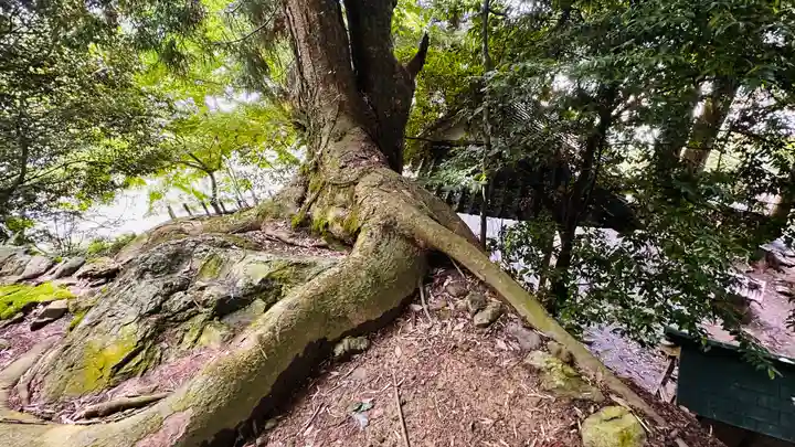 岩神神社(京都府)