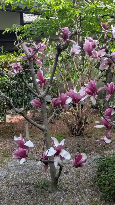 後白河院御聖蹟 法住寺(京都府)