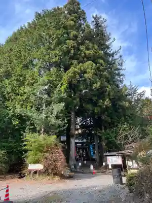 駒ヶ嶽神社（前宮）のその他建物