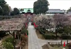 亀戸天神社の建物その他