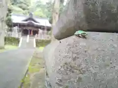 中野神社(福井県)