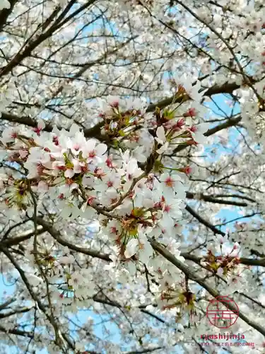 立志神社(滋賀県)