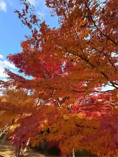  智積院(京都府)