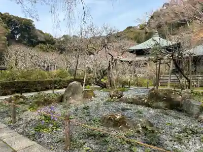 瑞泉寺の{uncategorized: "未分類", other: "その他", undefined: "問題あり", building: "その他建物", grave: "お墓", sacred_gate: "鳥居", guardian: "狛犬", statue: "像", buddha: "仏像", history: "歴史", nature: "自然", garden: "庭園", animal: "動物", pagoda: "塔", temizu: "手水舎", mountain_gate: "山門・神門", sanctuary: "本殿・本堂", subordinate: "末社・摂社", art: "芸術", scenery: "景色", jizo: "地蔵", ema: "絵馬", goshuin: "御朱印", omikuji: "おみくじ", items: "授与品その他", amulet: "お守り", goshuincho: "御朱印帳", eats: "食事", festival: "お祭り", votive_dance: "神楽", shichigosan: "七五三参", wedding: "結婚式", experience: "体験その他", initially: "初詣", around: "周辺", anti_infection: "感染症対策"}