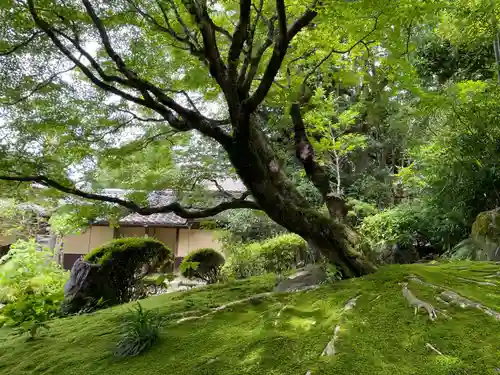詩仙堂（丈山寺）(京都府)