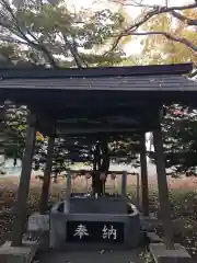 大麻神社の手水