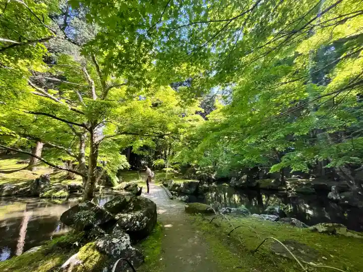 北畠神社の{uncategorized: "未分類", other: "その他", undefined: "問題あり", building: "その他建物", grave: "お墓", sacred_gate: "鳥居", guardian: "狛犬", statue: "像", buddha: "仏像", history: "歴史", nature: "自然", garden: "庭園", animal: "動物", pagoda: "塔", temizu: "手水舎", mountain_gate: "山門・神門", sanctuary: "本殿・本堂", subordinate: "末社・摂社", art: "芸術", scenery: "景色", jizo: "地蔵", ema: "絵馬", goshuin: "御朱印", omikuji: "おみくじ", items: "授与品その他", amulet: "お守り", goshuincho: "御朱印帳", eats: "食事", festival: "お祭り", votive_dance: "神楽", shichigosan: "七五三参", wedding: "結婚式", experience: "体験その他", initially: "初詣", around: "周辺", anti_infection: "感染症対策"}