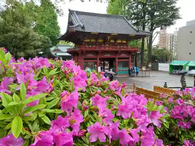 根津神社の山門・神門
