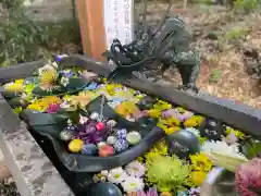 下野 星宮神社(栃木県)