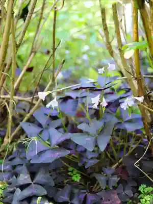 浄土寺(兵庫県)