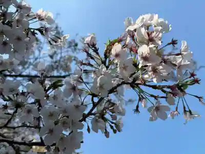 美奈宜神社(福岡県)