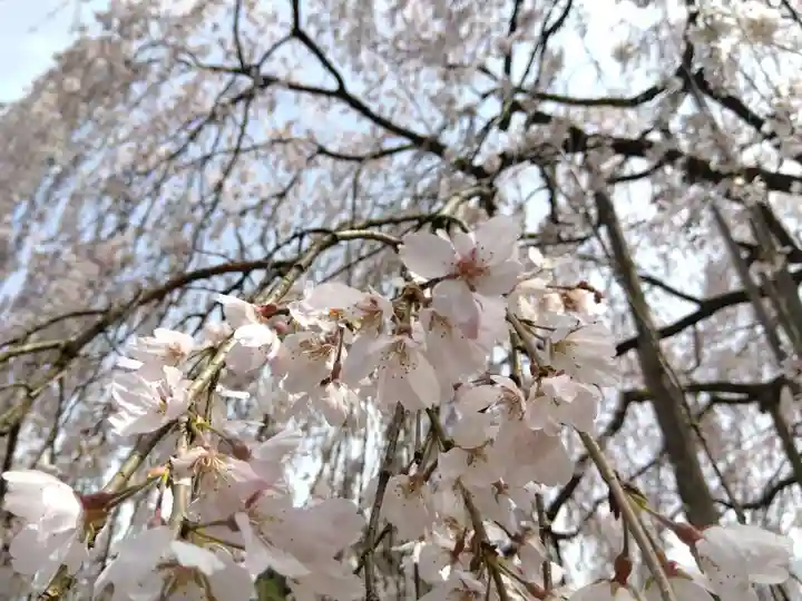 足羽神社(福井県)