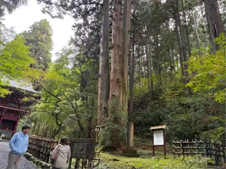御岩神社(茨城県)