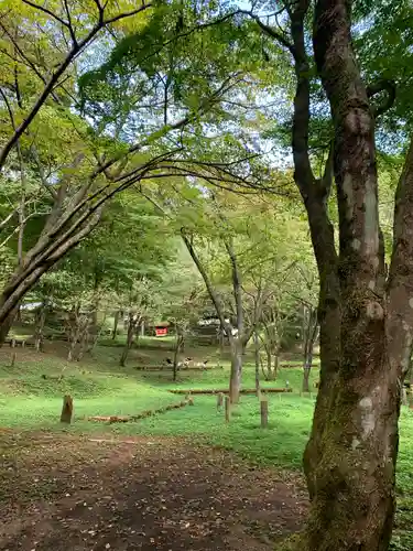 城峯神社の自然