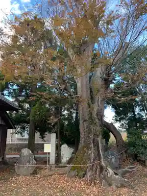 安産神社(千葉県)