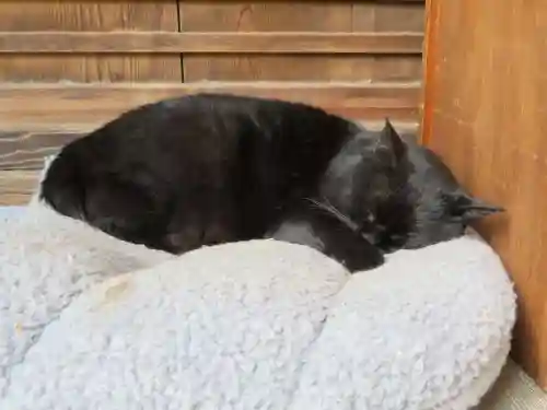 梅宮大社(京都府)