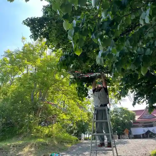 釧路一之宮 厳島神社のお祭り