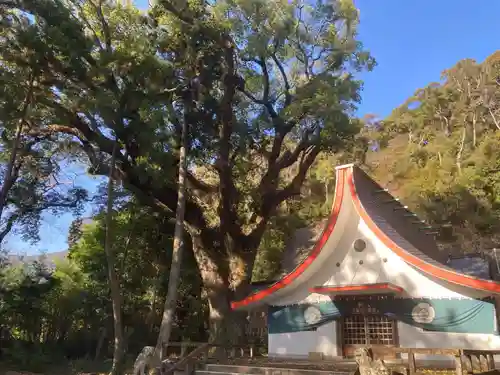 宍喰八坂神社(徳島県)