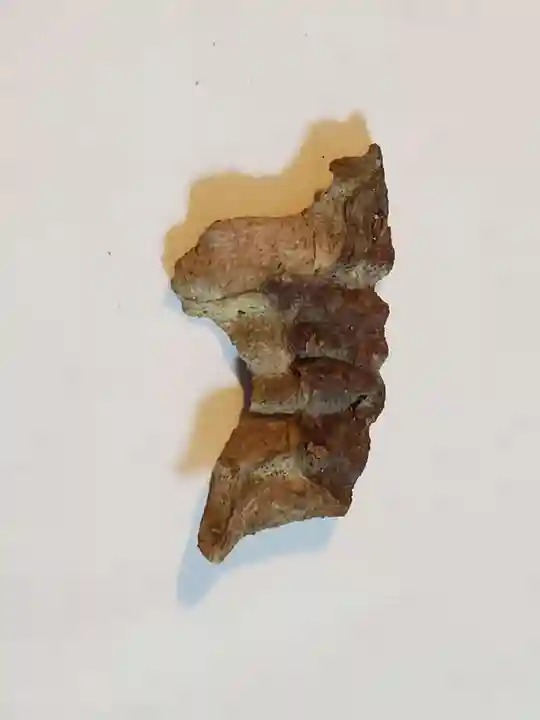 花山院菩提寺のその他建物