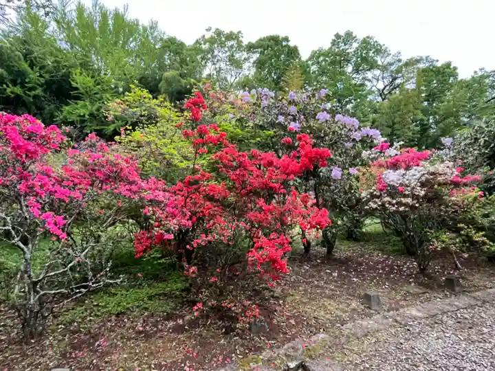 正福寺(茨城県)