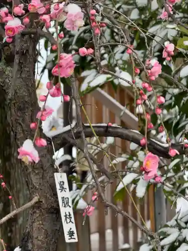 亀戸天神社の{uncategorized: "未分類", other: "その他", undefined: "問題あり", building: "その他建物", grave: "お墓", sacred_gate: "鳥居", guardian: "狛犬", statue: "像", buddha: "仏像", history: "歴史", nature: "自然", garden: "庭園", animal: "動物", pagoda: "塔", temizu: "手水舎", mountain_gate: "山門・神門", sanctuary: "本殿・本堂", subordinate: "末社・摂社", art: "芸術", scenery: "景色", jizo: "地蔵", ema: "絵馬", goshuin: "御朱印", omikuji: "おみくじ", items: "授与品その他", amulet: "お守り", goshuincho: "御朱印帳", eats: "食事", festival: "お祭り", votive_dance: "神楽", shichigosan: "七五三参", wedding: "結婚式", experience: "体験その他", initially: "初詣", around: "周辺", anti_infection: "感染症対策"}