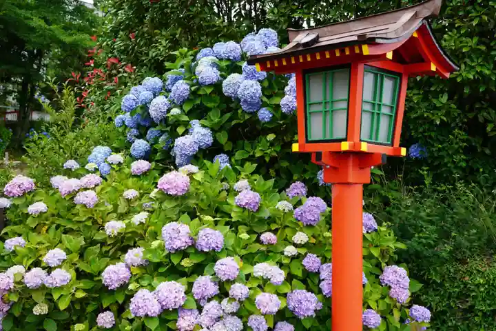 石母田 三吉神社の自然