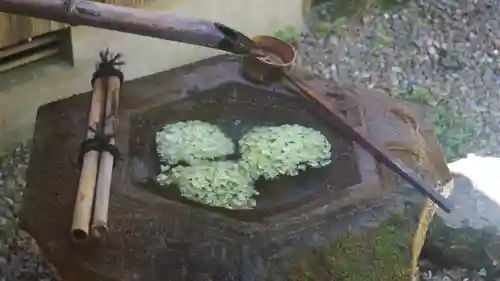 柳谷観音　楊谷寺(京都府)
