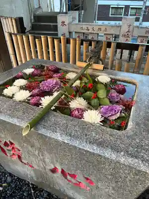 高円寺氷川神社(東京都)
