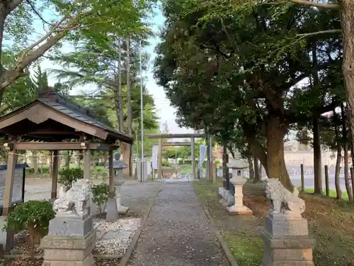 辰巳台神社の狛犬