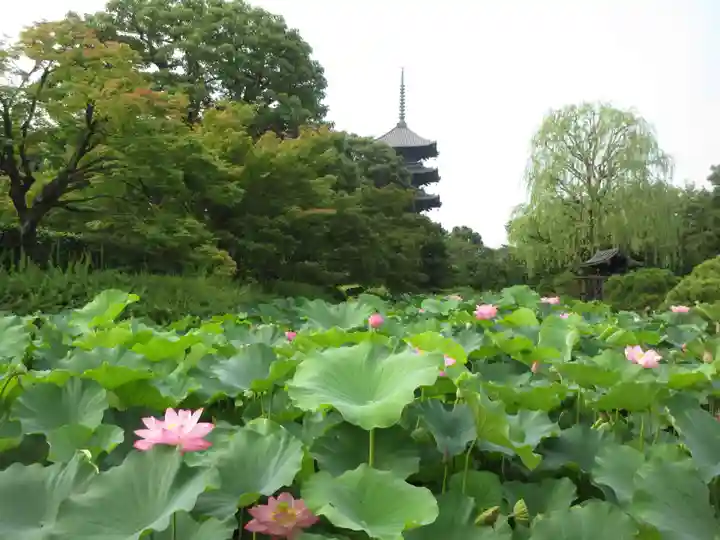 東寺(教王護国寺)(京都府)