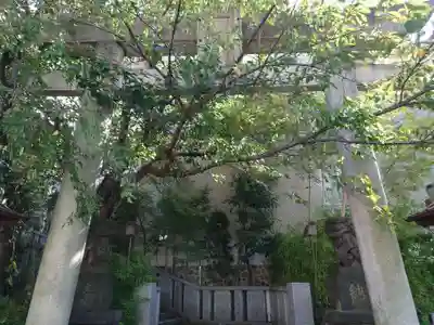 雉子神社の鳥居