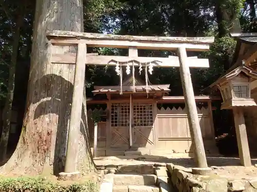 劔主神社の鳥居