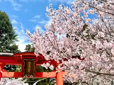 蚊里田八幡宮(長野県)