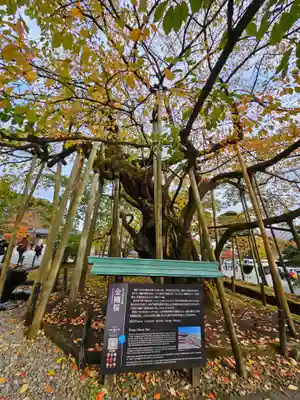 輪王寺(栃木県)
