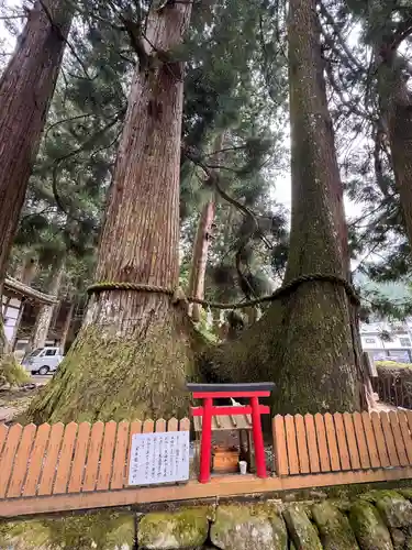 室生龍穴神社 奥宮(奈良県)