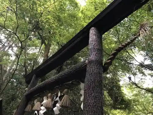 野宮神社の鳥居