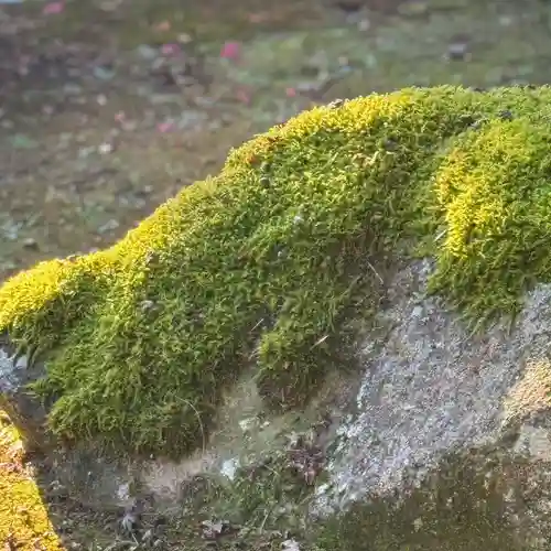伊勢の国 四天王寺(三重県)