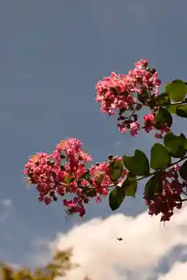 宝筐院(京都府)