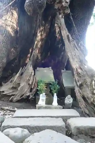 三嶋大社(静岡県)