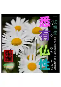 耕田院(山形県)(2023年06月10日(土) 02時01分41秒投稿)