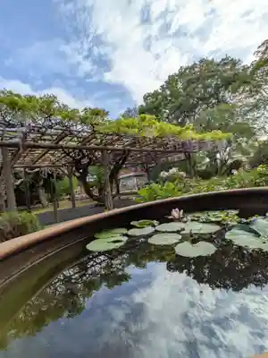 愛染院(東京都)