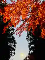 土津神社|こどもと出世の神さまの景色