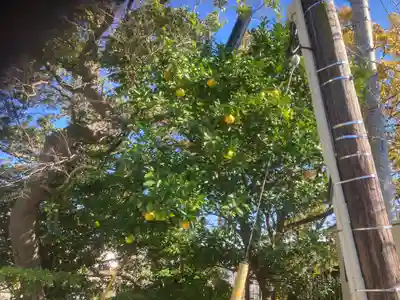 大船観音寺(神奈川県)