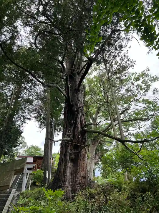 長屋神社(福島県)