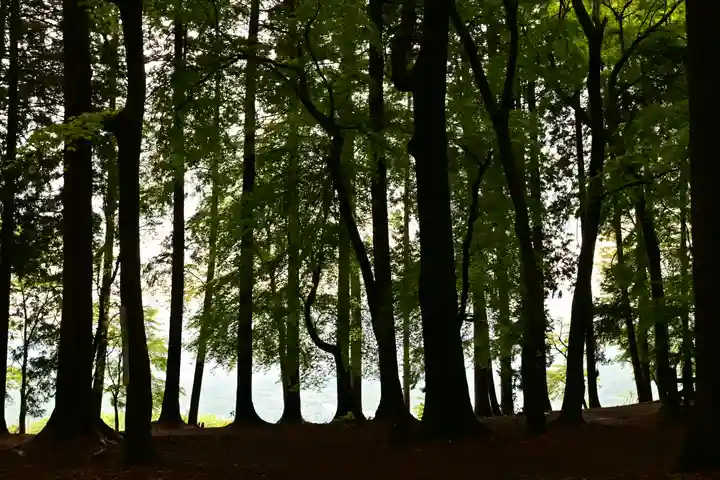 宝登山神社奥宮(埼玉県)